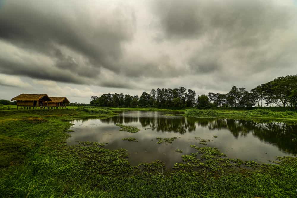 majuli island assam